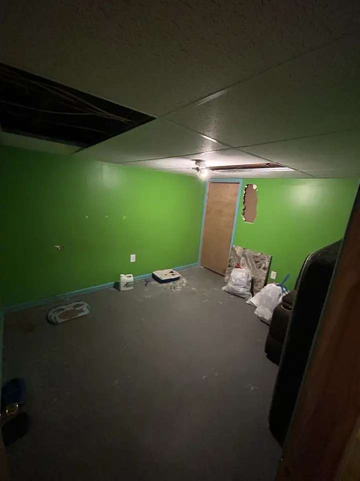 Basement room with damaged walls