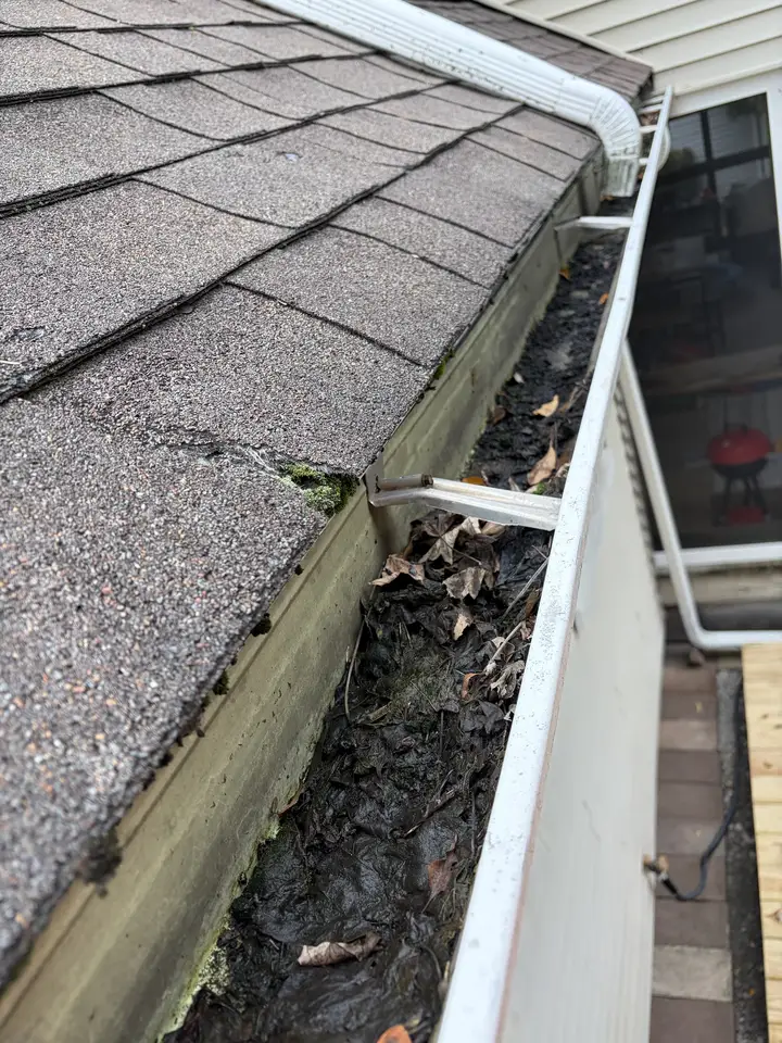 Gutter cleaning