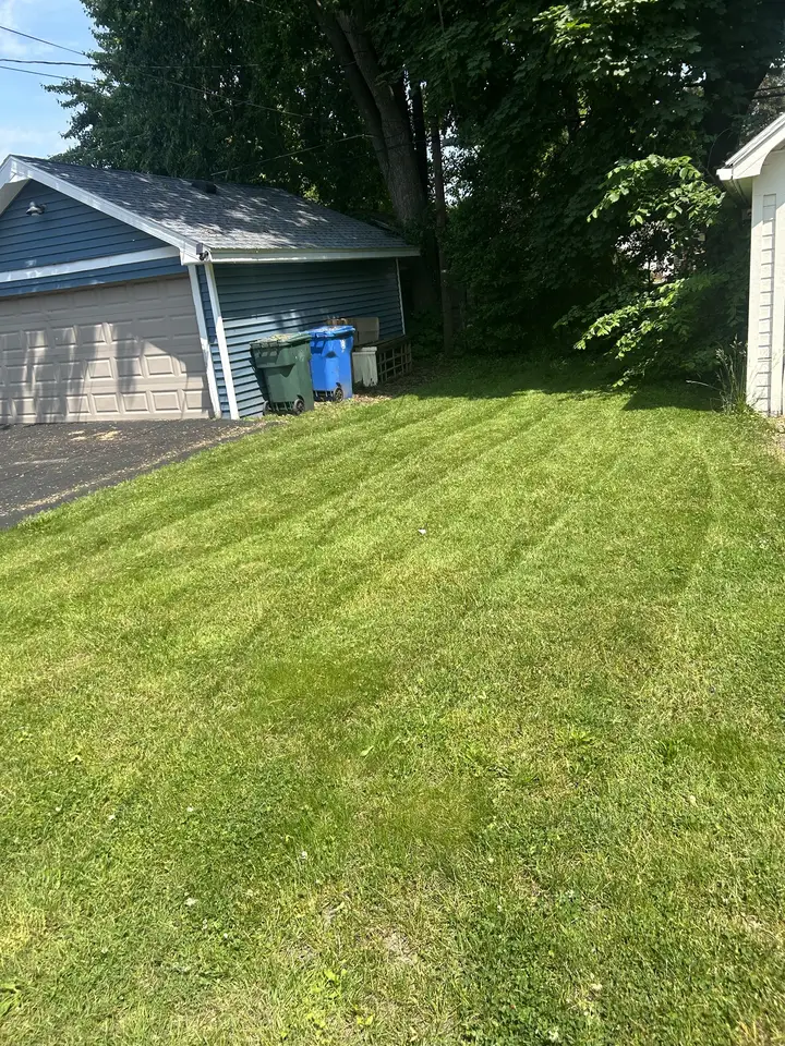 Freshly mowed striped lawn