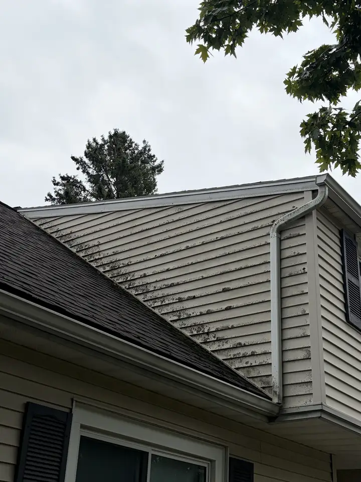 Clean house siding