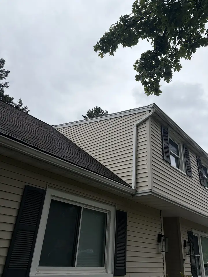 Siding streaked with mildew